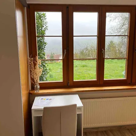 Kleine - Naehe Schweiz Lienheim